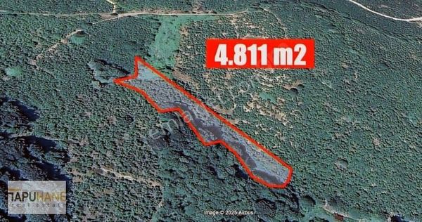 Tapuhane'den Akçakoca Karatavuk Mah. 4.811m2 Fındık Bahçesi