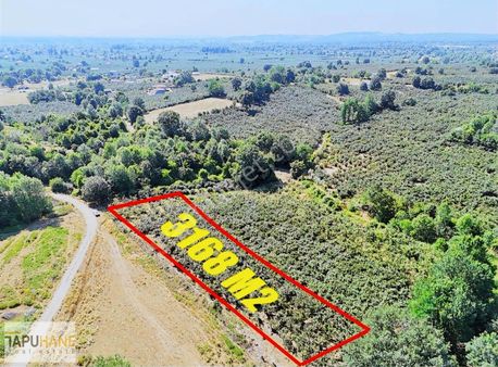 Tapuhaneden 3.168m2 Fındıklık-sınırından Dere Geçiyor