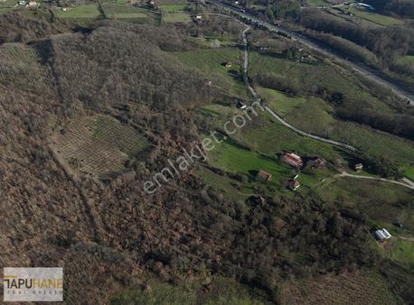 Tapuhane'den Kalayıkta Satılık İmarlı Arsa