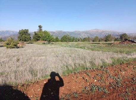 Satılık Düz Tarla. Masrafsız.