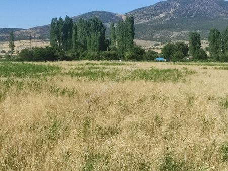 Konya Seydişehir Muradiye Mah. Satılık Sulu Tarla 1508 M2 Yol, Kanal Kıyısı