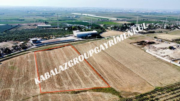 Adana Yüreğir Alihocalı'da 17.964m² Tek Tapu Fırsat Tarla