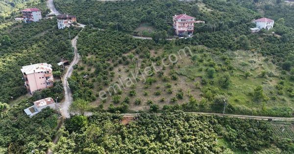 Çukurçayır Özkaymaklıda Kat Karşılığı İmarlı Arsa