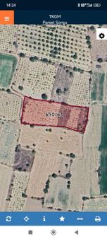 Denizli Acıpayam Yeşilyuva Satılık Bağ