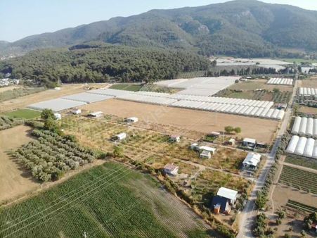 ..fırsat.. İçerisinde Evi Olan Hazır Düzen - 240m2 Satılık Bahçe