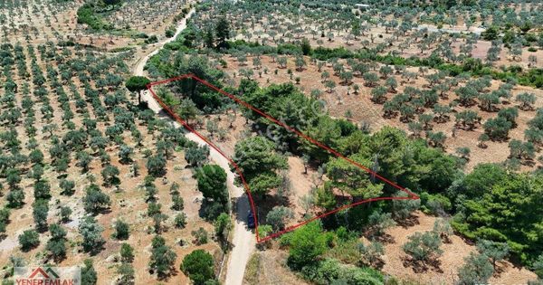 Çamcı'da Kadastral Yola 103mt Cepheli ▒ Kitap Gibi Fırsat Yer ▒