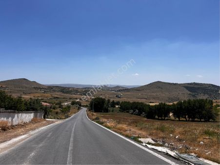 Tatlar’da 2500m2 Giçik Yolu Üzeri Asfalta Cephe Satılık Fırsat Tarla