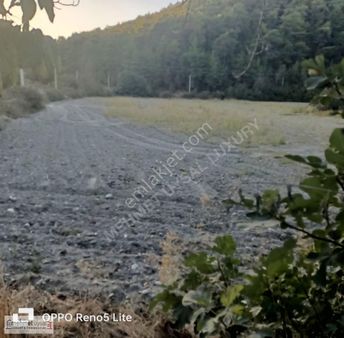 Ula Çıtlık Satılık İmarlı Parsel