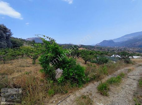 Mezitli Kocayer Full Manzara Köy İçi İmar