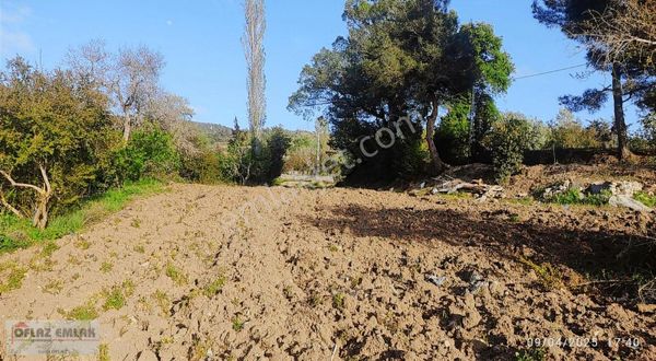 Oflaz Emlaktan Satılık Yayladağında Asfalt Yola Cepheli Tarla