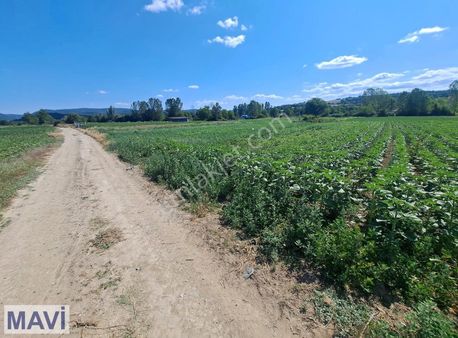 Bilecik Kurtköy'de 15 Metre Yola Cepheli 860 M2 Satılık Tarla