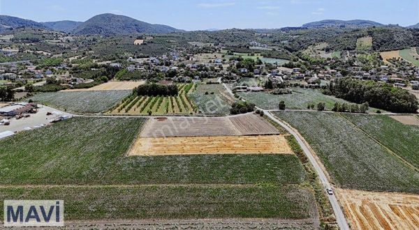 Serdivan Kuruçeşmede İmara 2 Parsel Satılık Tarla Remax Mavi Den