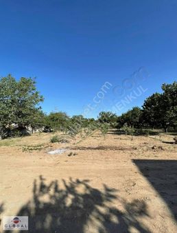 Global Emlaktan Sazlıcanın En Güzel Konumunda Satılık Arsa