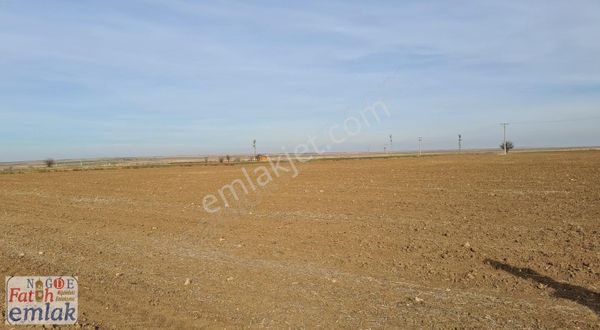 Bor Badakta 2 Adet Satlık Tarla