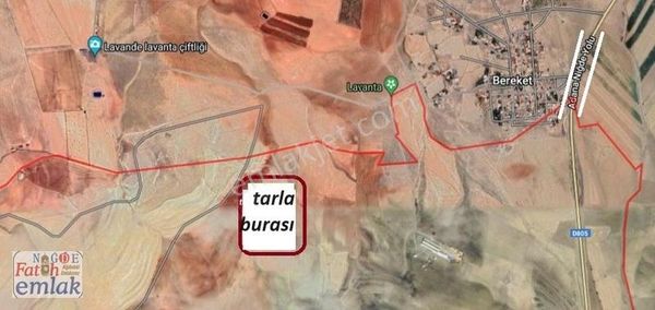 Ulukışla Kolsuzda 36.5. Dönüm Satlık Tarla