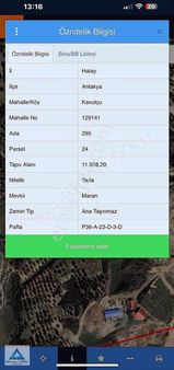 Antakyanın En Çok Prim Yapan Bölgesinde Satılık 12 Dönüm Tarla