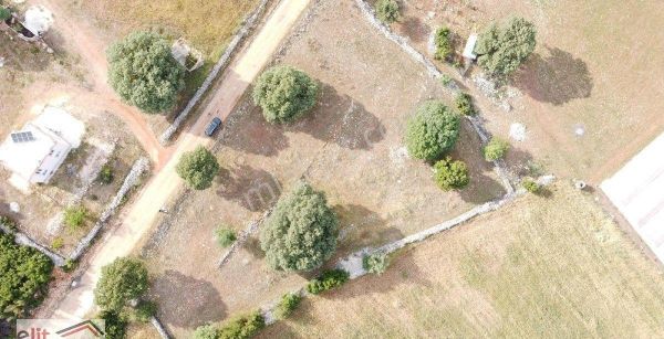 Elit Gayrimenkul Den Kaş Sarılar Mevkide Kelepir Satılık Tarla 3680