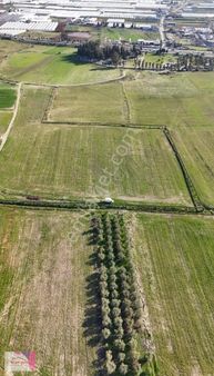 Antalya Serik Yukarı Kocayatak Bölgesinde Satılık Arsa