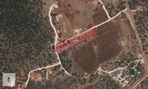 Kaş Bayındır Mahallesinde 607 M2 Satılık Arsa