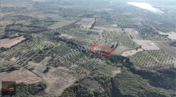 Şarköy Camikebir'de Müstakil Tapulu 2516 M2 Tarla