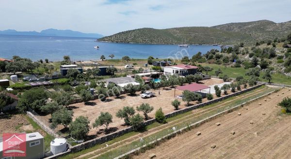 Muğla Milas Çökertme'de Denize 120m Mesafede 2258m² Arazi