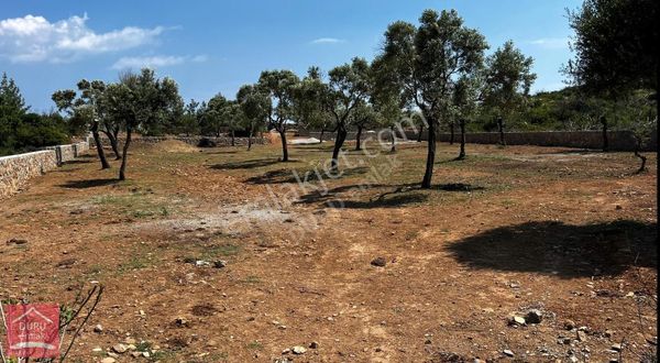 Muğla Bodrum Mazı'da Lebiderya Gökova Körfezi Manzaralı Arazi
