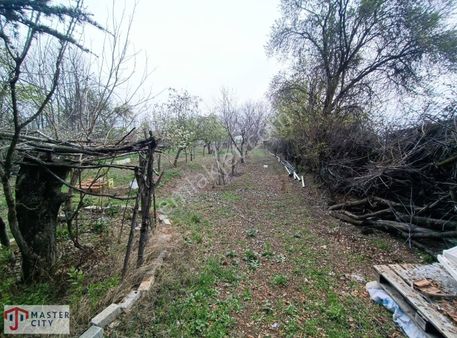 Eskişehir'e Sadece 2 Km Arsa Kıymetinde Bahçe