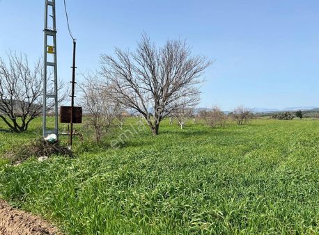 Yıldırım Mühendislik'ten Ağaçlıhöyük Mh."3.150 M2" Verimli Tarla