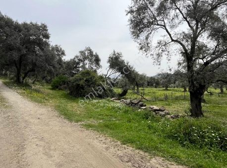 Yıldırım Mühendislik'ten "4.500 M2" Yola Cephe Düz Arazi