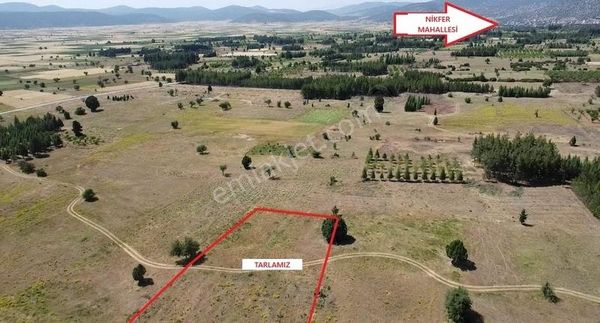 Tavas Nikfer Mahallesinde Uygun Fiyatlı Tarla