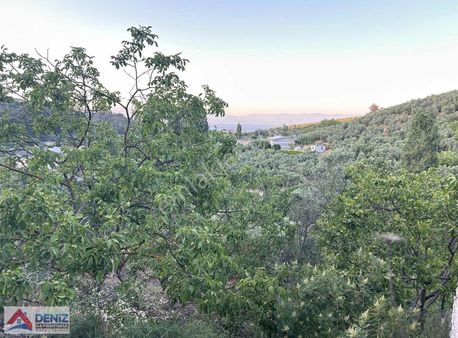 Bademli Mudanya Arası Yola Cephe Satılık Arazi