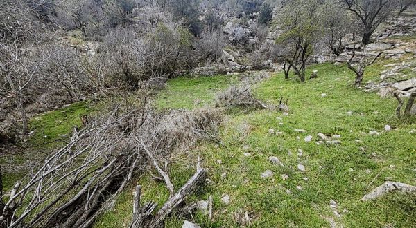 Sd Den Satılık Egenin İncisi Gömeçte 700 M2 Efsane Bahçe