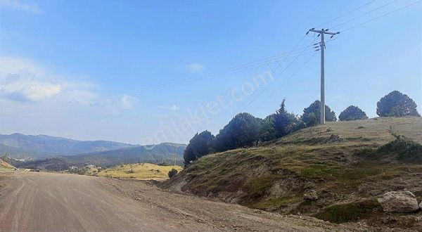 Ayvalığın Cazibe Merkezi Akçapınarda Yol Cepeli Arazi