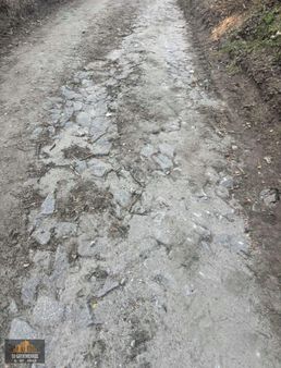 Ayvalıkın Gözdesi Bağyüzünde Yatırımlık Çamlık!