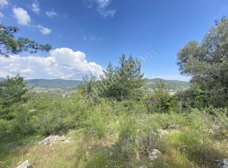 Bodrum Yalıçiftlik'te İmarlı Yerleşime Yakın Müstakil Tarla