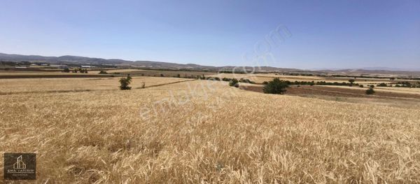 [ema] Pelte'de Fırsat, Satılık Tarla