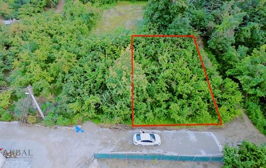 Kaynaşlı'da Acil Satılık İnşaata Hazır 454 M² Arsa