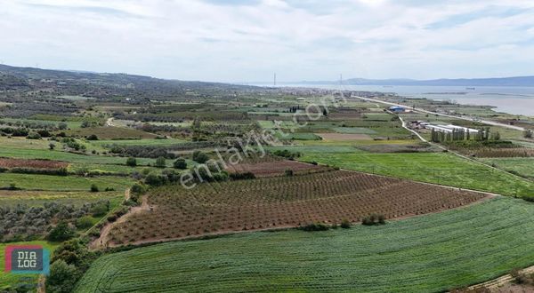 Dıalog İdeal'den Çanakkale Lapsekide Deniz Manzaralı Tarla