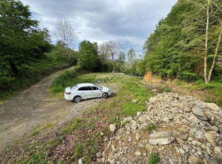 Bungalov Yapmak, Dere De Balık Tutmak İsteyeceksiniz.