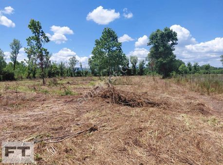 Dikbıyık Da Satılık 6.000 M2 Tarla