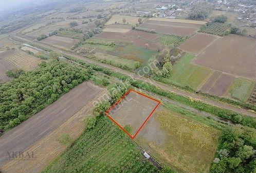 Esenli Köyünde Satılık Müstakil Tapulu 1125m² Tarla