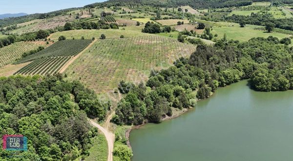 Dialog İdeal'den Kestel Aksu'da Satılık 54.000 M2 Değerli Tarla
