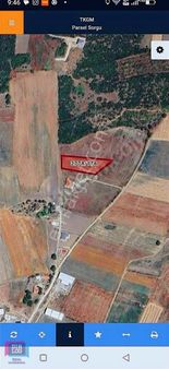 Dialog İdeal Den Balabancık Satılık Köy İçi Tarla