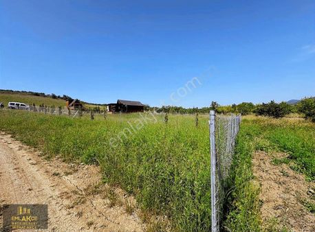 Şok Fiyat Düştü Bursa Osmangazide Bungolov Müstakil Tapulu Arsa