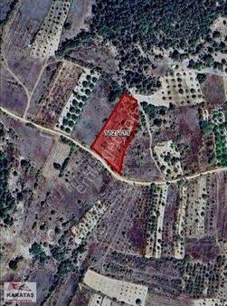 Keles Haydarköyünde Yola Cephe Kupon Tarla