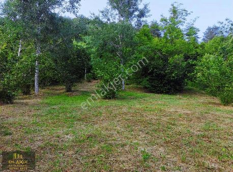 Emlakçe G Y M'den Hendek Karadere Köy İçi Arsamız Satılık Tır