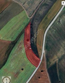 Tekirdağ Çorlu Şahpaz 2.142 M ² Satılık Arsa