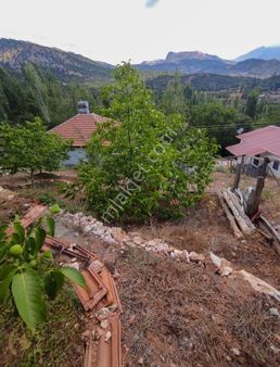 Seki Manastır'da Müstakil Ev Ve 485m2'lik Bahçesi