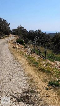 Ovacık Ta Yola Sıfır Satılık Tarla Acil Satılık