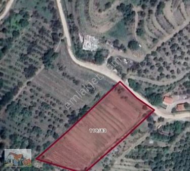 Mk Yapı Emlak'tan Satılık Tarla Hobi Bahçelik